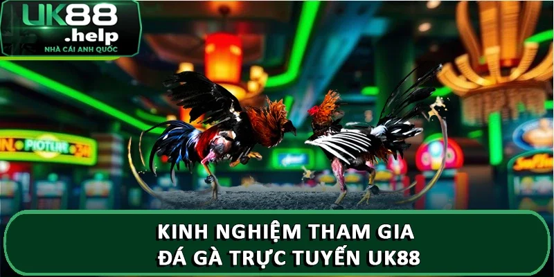 Giới thiệu Đá Gà Trực Tuyến UK88 ăn thưởng lớn 2025 5 Kinh nghiệm tham gia đá gà trực tuyến UK88