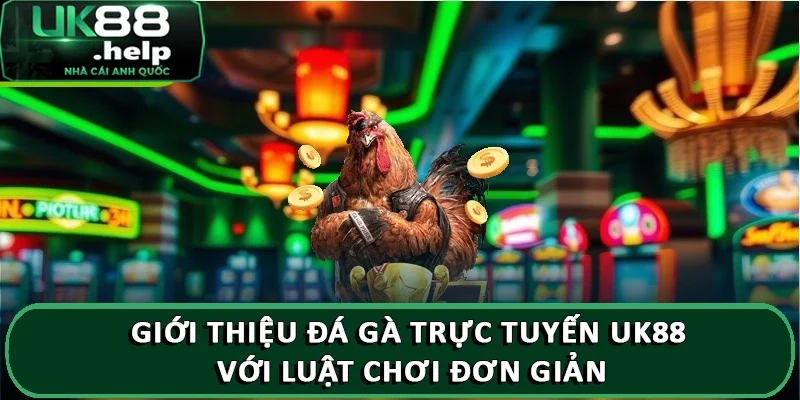 Giới thiệu Đá Gà Trực Tuyến UK88 ăn thưởng lớn 2025 3 Giới thiệu đá gà trực tuyến UK88 uy tín, chất lượng