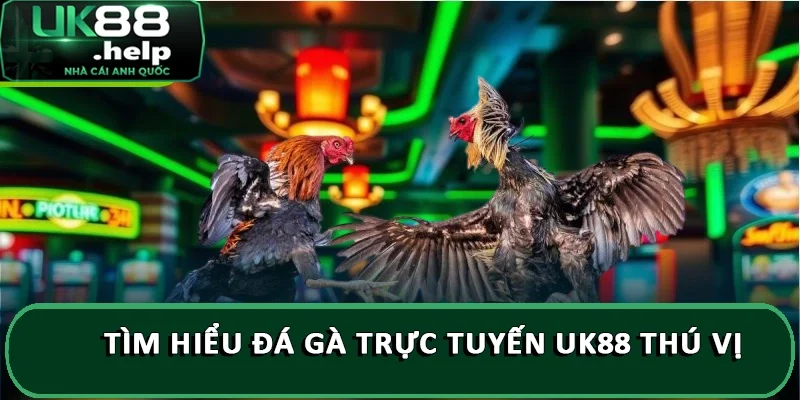 Giới thiệu Đá Gà Trực Tuyến UK88 ăn thưởng lớn 2025 1 Tìm hiểu đá gà trực tuyến UK88 thú vị