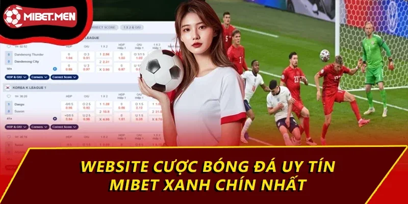 Website Cược Bóng Đá Uy Tín MIBET Với Tỷ Lệ Thắng Lớn 1 Website cược bóng đá uy tín MIBET xanh chín nhất